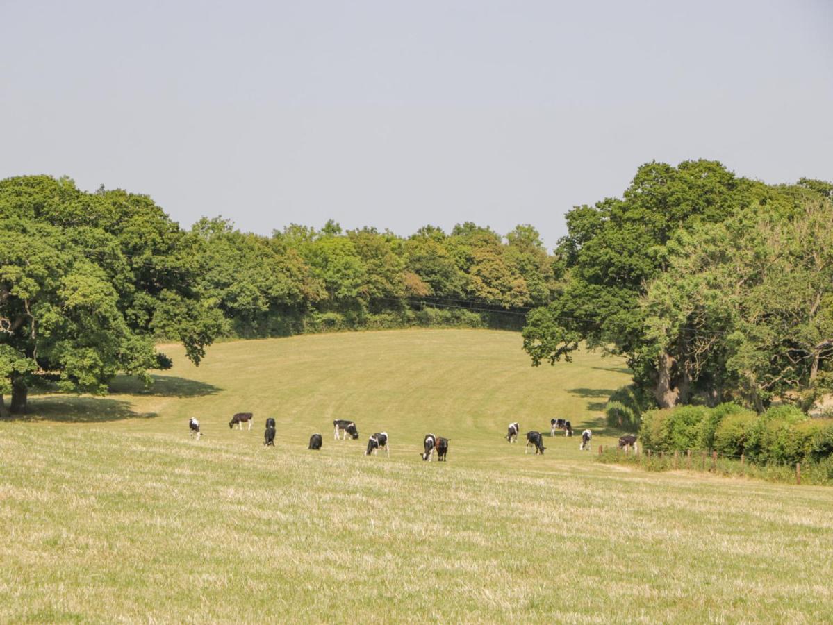 Linden Barn Βίλα Wincanton Εξωτερικό φωτογραφία